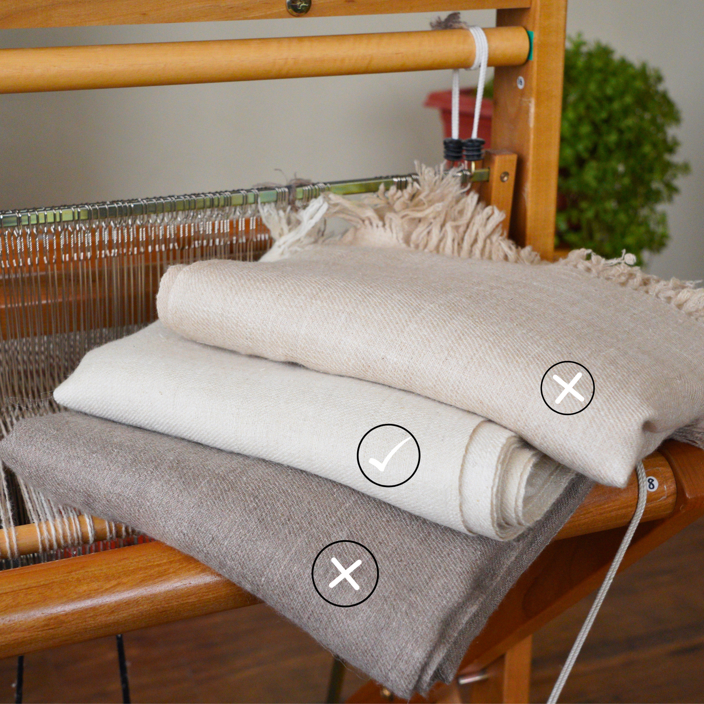 Natural White Pashmina Shawl