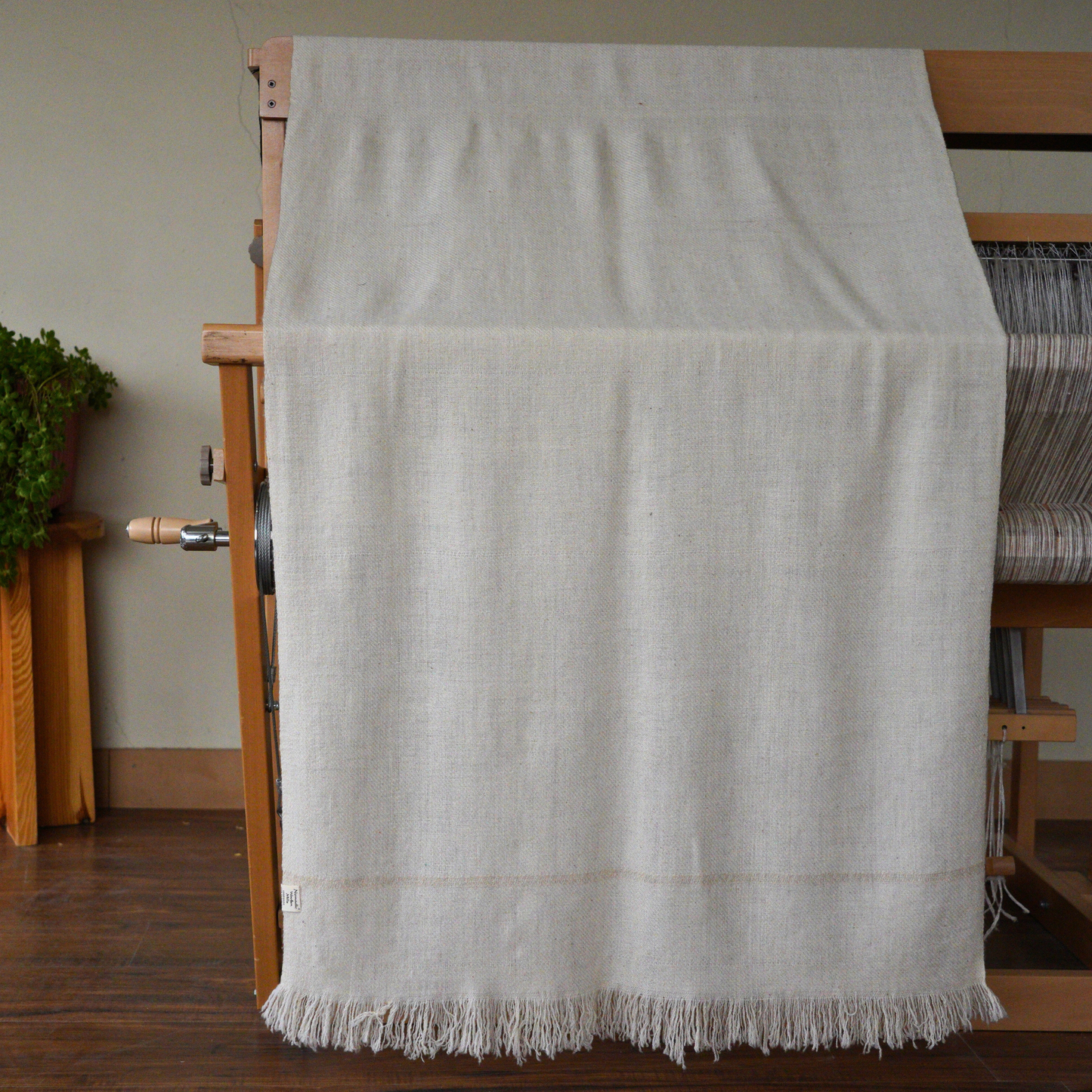 Medium  Pashmina Shawl