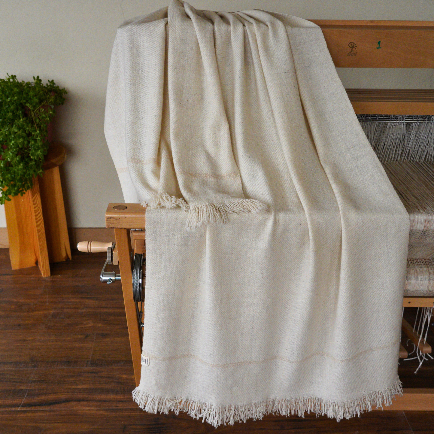 Medium  Pashmina Shawl
