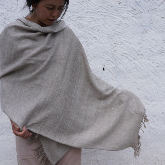 Dual-Toned Pashmina Shawl.