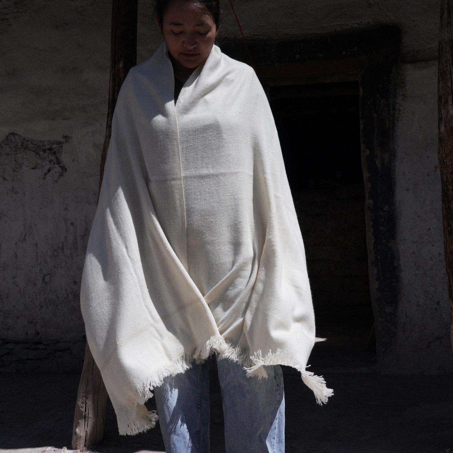 Medium  Pashmina Shawl