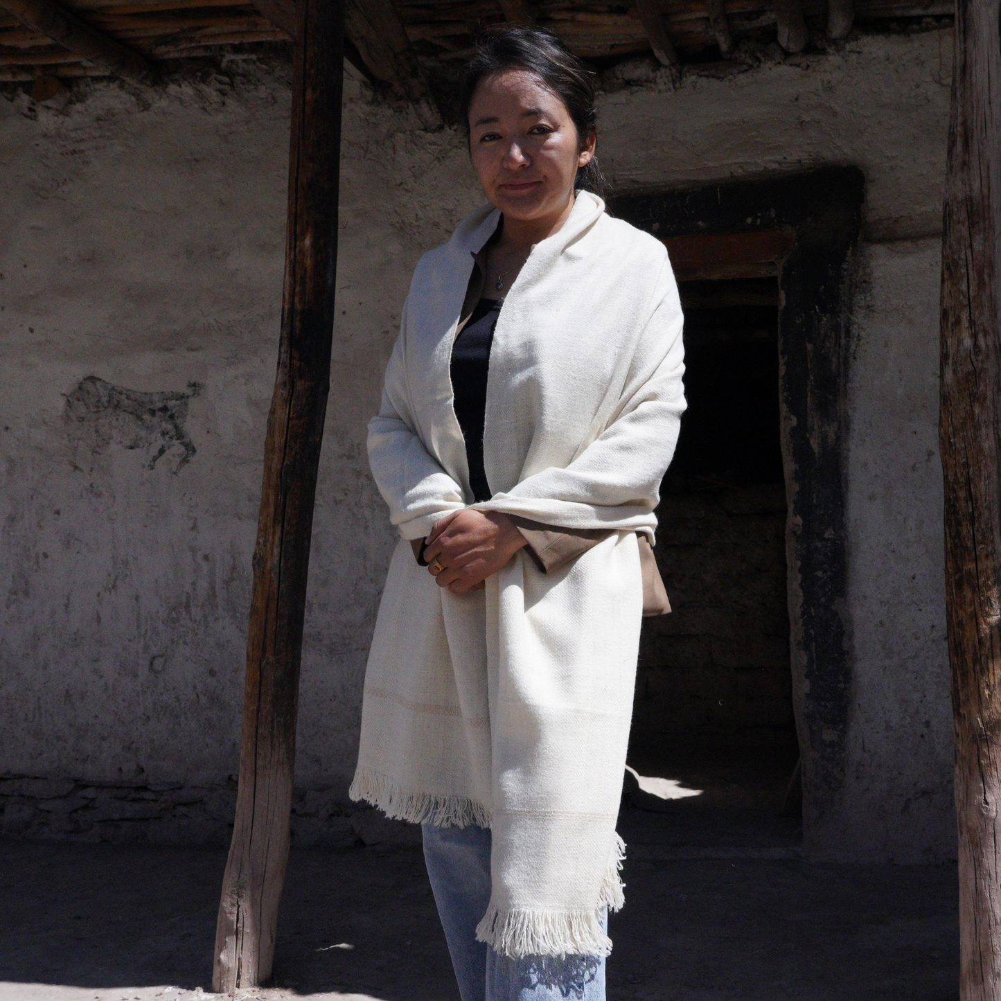 Medium  Pashmina Shawl